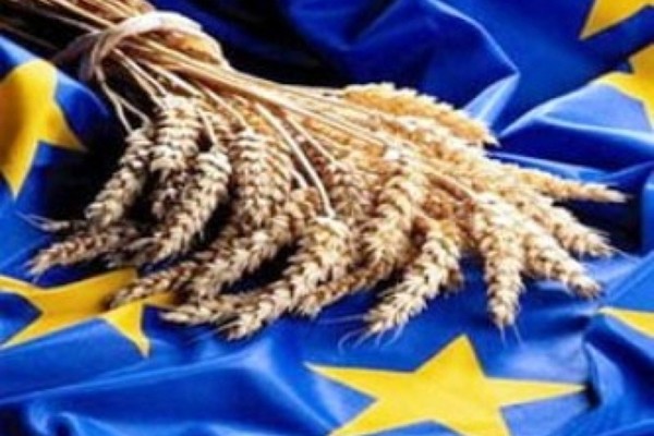 Британският референдум не пощади и зърнените борси